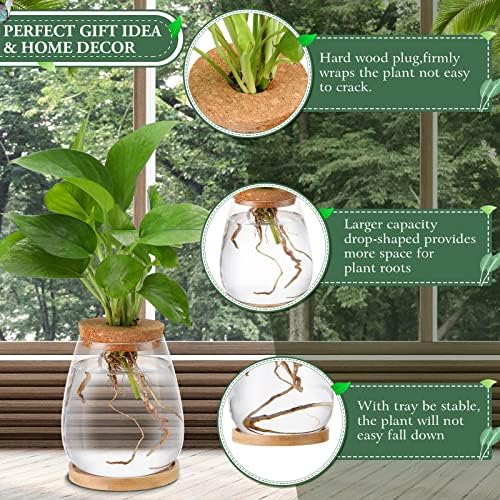 Nuanchu 4 Pcs Desktop Plant Terrarium Vase, Large - Image 3