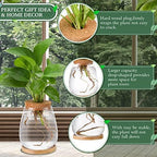 Nuanchu 4 Pcs Desktop Plant Terrarium Vase, Large - Image 3