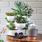 The HC Companies 3 Inch Sprite Mini Succulent Pot - Small Plastic Planter with Drainage for Indoor Plants, Artisan Taupe (20 Pack) - Image 4