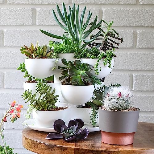 The HC Companies 3 Inch Sprite Mini Succulent Pot - Small Plastic Planter with Drainage for Indoor Plants, Artisan Taupe (20 Pack) - Image 4
