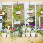 Remerry 6 Pcs 10 Inch Hanging Planter Hanging Plant Pot Plastic Round Hang Baskets for Plants Indoor Flower Pot with Drainage Holes Removable Trays for Garden Home Patio(White) - Image 3