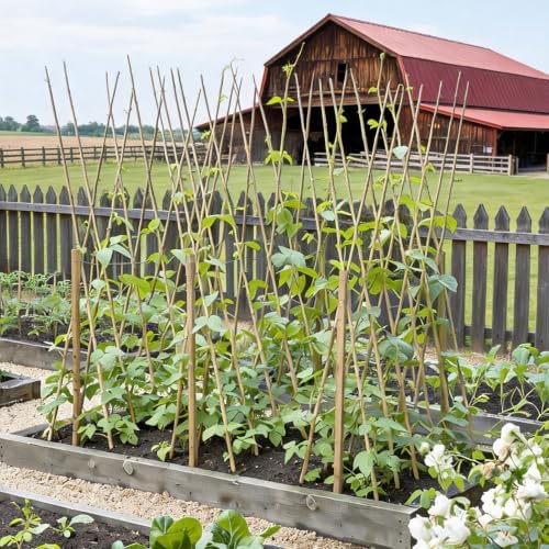 Natural Bamboo Plant Stake（Approx 5FT 50Pcs） Sturdy Bamboo Poles, Durable Plant Bamboo Stake, Garden Climbing Plant Bracket. - Image 7