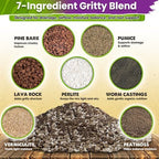DUSPRO 7-in-1 Succulents & Cactus Soil Mix, Pre-Mixed & Ready to Use, 8 QT - Image 2