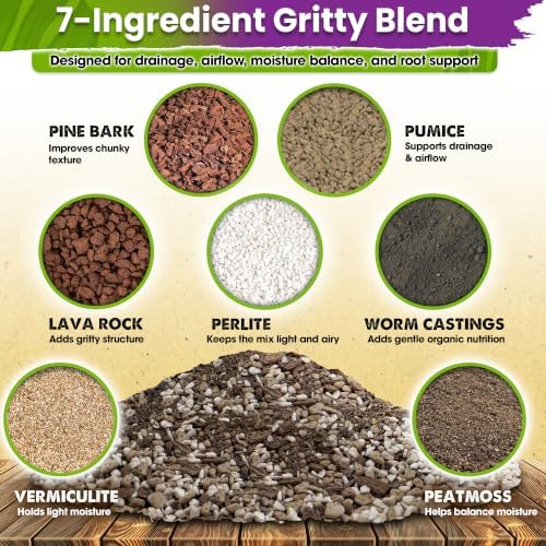 DUSPRO 7-in-1 Succulents & Cactus Soil Mix, Pre-Mixed & Ready to Use, 8 QT - Image 2