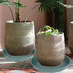 4 Pack of 16 inch Plant Saucer (13.5" Base), Heavy Duty Plastic Plant Tray for Pots, Flower Water Trays for Indoors, Bird Bath Bowls, Plant Drip Saucers for Planter 14"/15"/16" (Green) - Image 3