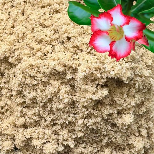 GARDENWISE Fine Sand for Plants – Horticultural Sand for Succulents, Cactus, Potting Mixes, Terrariums & Decorative Indoor Gardens, Made in USA (5 quarts - 14 lbs) by GARDENWISE