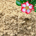 GARDENWISE Fine Sand for Plants – Horticultural Sand for Succulents, Cactus, Potting Mixes, Terrariums & Decorative Indoor Gardens, Made in USA (5 quarts - 14 lbs) by GARDENWISE