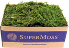 SuperMoss (25325) Forest Moss Preserved, Fresh Green, 3 Pounds by SuperMoss