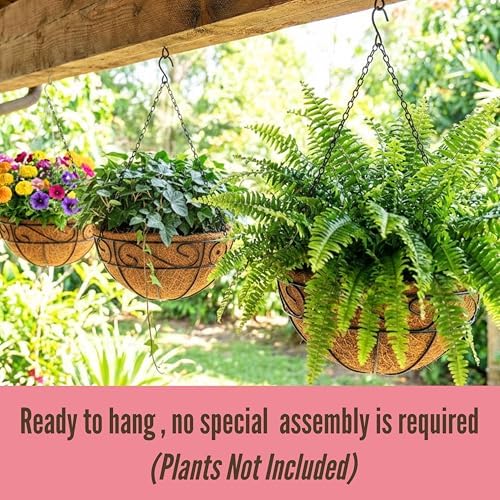 LaLaGreen Hanging Planter for Outdoor Plants (20 in, 2 Pack) Black Pots - Image 4