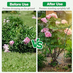 4 Pack Peony Cages and Supports Cages 13" D x 22.8" H Sturdy Metal Support Frame for Peonies & Roses Natural Bouquet Shape Garden Stakes for Outdoor Plants Flowers Ornamental (Green) - Image 4