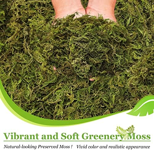 Riare 1.3LB Natural Moss Artificial Fake Moss Alternative for Plants Indoor - Image 4