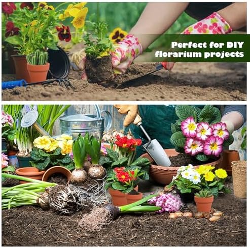 160 Pcs Small Clay Pots with Drainage Hole 2 Inch Mini Terracotta Plant Pots Planters Bulk for Succulent Cactus Flower Wedding Nursery Indoor Outdoor Craft - Image 5
