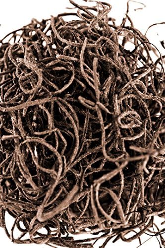 SuperMoss (27016) Spanish Moss Preserved, Coffee, 3lbs - Image 2
