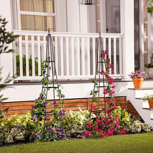 Evergreen Metal Garden Obelisk Trellis for Climbing Plants Outdoor, Indoor Plant Trellis for Potted Plants, Floral Pattern Arch Trellis (Black, 6 ft. Pyramid, Set of 2) - Image 2