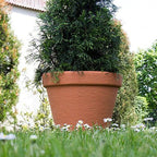 Prosper Plast Plastic Flower Pot 46 cm Classic Massive for Indoor and Outdoor use, Terracotta Colour - Image 5