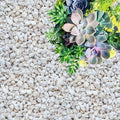 GARDENWISE Perlite for Plants, Coarse and Chunky Horticultural Perlite, Organic Perlite for Gardening Indoor & Outdoor, Perlite Bulk Bag, Made in USA (20 quarts) by GARDENWISE