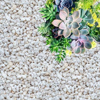 GARDENWISE Perlite for Plants, Coarse and Chunky Horticultural Perlite, Organic Perlite for Gardening Indoor & Outdoor, Perlite Bulk Bag, Made in USA (20 quarts) by GARDENWISE