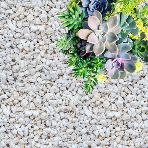 GARDENWISE Perlite for Plants, Coarse and Chunky Horticultural Perlite, Organic Perlite for Gardening Indoor & Outdoor, Perlite Bulk Bag, Made in USA (30 quarts) by GARDENWISE