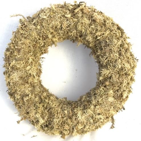 9" Sphagnum Moss Living Wreath Round, Natural-Organic Original - 6 Wreaths Value Combo by Topiary+Art+Works