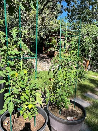 G-LEAF 6 Pack 6ft Tomato Cage for Garden Plant Support, Garden Stakes Tomato Cage, Tomato Cages Plant Stakes for Climbing Plants - Image 2
