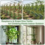 2 Pack Metal Detachable Raspberry & Grape Vine Trellis for Climbing Plants, Heavy-Duty 7 Ft Tall Large Vineyard Trellis Support, Sturdy Garden Stakes for Outdoor Raised Beds Vegetables Fruits Flowers - Image 5