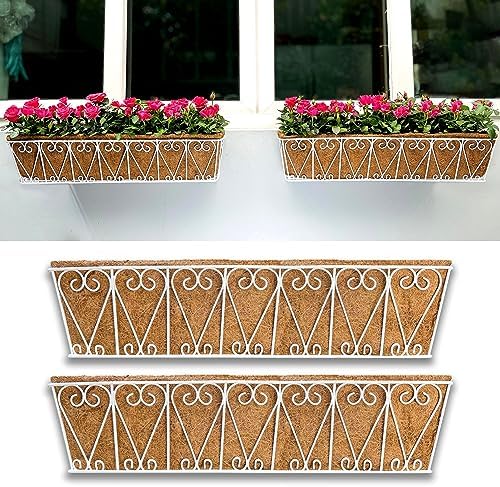 LaLaGreen Hanging Wall Planter (30 in, 2 Pack) White Coco Liner Boxes by L%C3%A1L%C3%A1Green