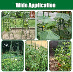 25 Pack 48 Inch Garden Stakes & Tomato Stakes for Climbing Plants - Image 4