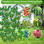 ROADPLUM 2 Pack Cucumber Trellis for Raised Garden Bed, Outdoor Sturdy Metal A-Frame Cucumber Trellis Support for Climbing Plants Vegetables with Accessories, Easy Installation & Easy Harvesting - Image 6
