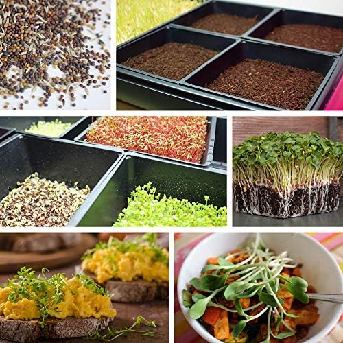 Handy Pantry 10-Pack 1020 Garden Growing Trays Without Drain Holes 10" x 20 - Image 6