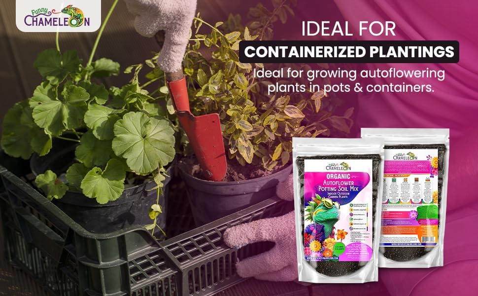 Organic Autoflower Potting Soil Mix – Ready-to-Use Living Soil, No Fertilizers Needed – Balanced Nutrients, Light Texture, Excellent Drainage, Boosts Germination & Root Growth (4 QUARTS) - Image 7