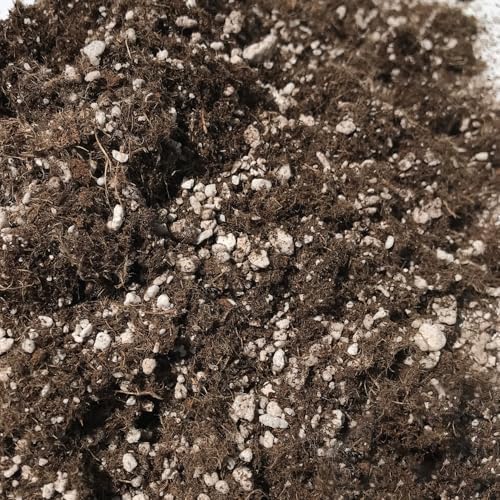 Cara Cara Orange Tree Growing Soil Mix – Custom Soil Blend – Potting Mix for Cara Cara Orange Trees – Specially Developed by and for Professional Nursery Growers - Nutrient-Rich Formula (2 Quarts) - Image 3