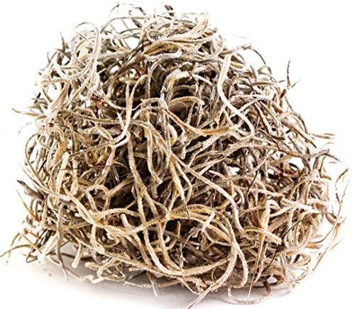 SuperMoss 26934 Spanish Moss Preserved, Appx. 5 lb Bulk Case, Natural - Image 6