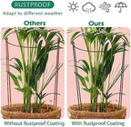 32 inch Plant Support Stakes, 10 Pack Half Round Metal Garden Plant Stake - Image 7