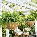 LaLaGreen Outdoor Hanging Baskets (16 in, 4 Pack) White Coco Liner Pots by L%C3%A1L%C3%A1Green