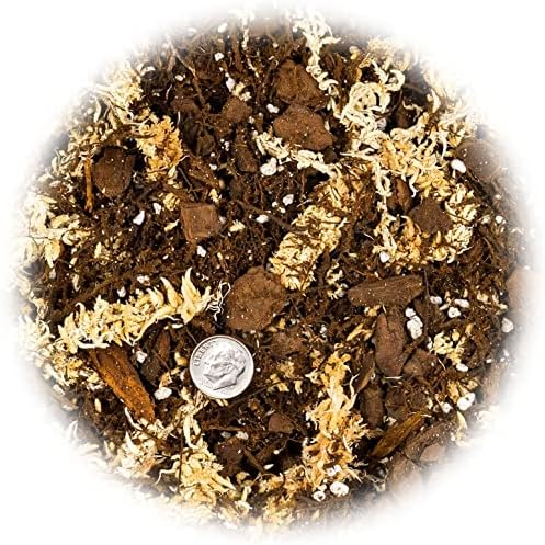 Gardenera Premium Orchid Mix by GARDENERA - 10 Quart - Fern + New Zealand Pine Bark + Sphagnum Moss + Perlite | Best for Growing and Repotting Orchids (2 Bags of 5 QT) - Image 2