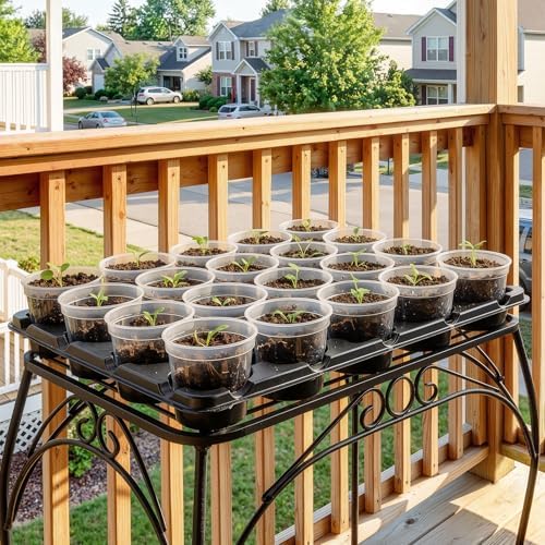 homenote 4 Pack 20 Cell Seed Starting Trays with 4 Vented Humidity Domes - Image 2