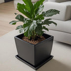 Square Ceramic Plant Saucer Tray 8 9 10 Inch Black, 9.3" OD x8.3 ID x1.3 Deep, Sturdy Heavy Duty Glazed Planter Drip Flower pots with Catch Basin for Indoor Outdoor Plants(10" Black) - Image 5