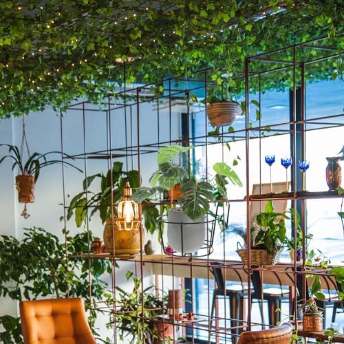 DOITOOL 2 Pcs Hanging Railing Planters 10 Inch Black Metal Plant Hanger for Balcony Fence Porch Deck Flower Pot Holder Baskets for Outdoor Indoor Vertical Garden Accessories - Image 5