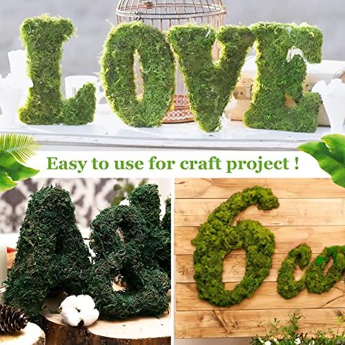 Riare 1.3LB Natural Moss Artificial Fake Moss Alternative for Plants Indoor - Image 5