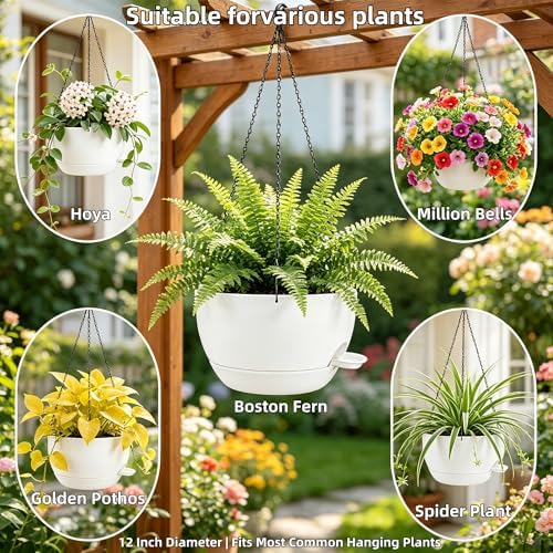 12" Self Watering Hanging Planters with Chains, White, 2 Pack - Image 6