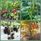 Sunnyray 15 Pack 48 Inch Tomato Cages Metal Plant Supports for Garden Green - Image 4