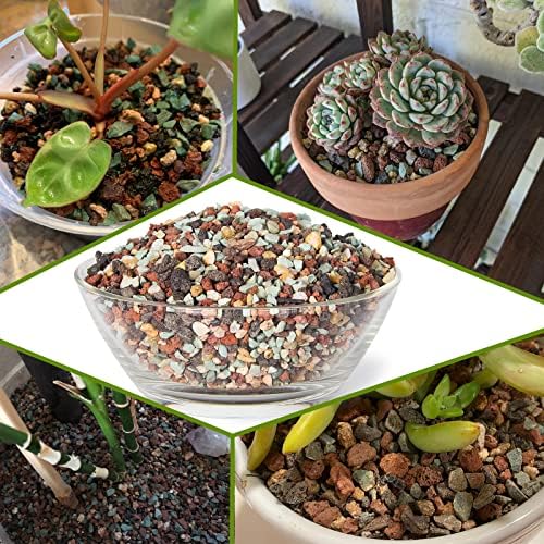 Succulent Pots, 10 Inch Ceramic Bonsai Pots with Drainage, Shallow Planters - Image 5
