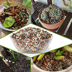 Succulent Pots, 10 Inch Ceramic Bonsai Pots with Drainage, Shallow Planters - Image 5