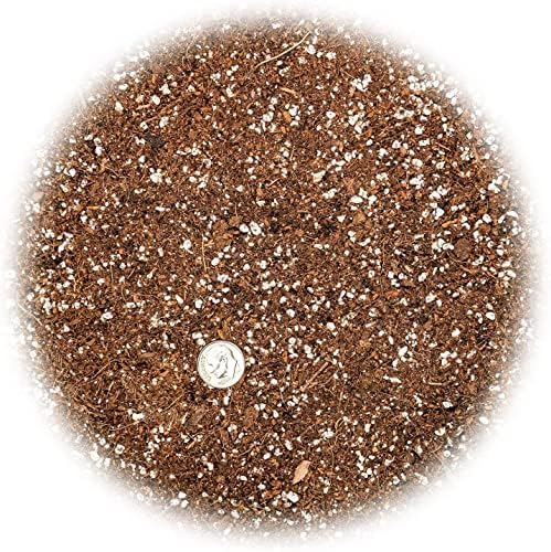 Gardenera Premium Raspberry Potting Soil Mix - Optimal Blend for Thriving and Juicy Berries - 10 Quart - Image 3