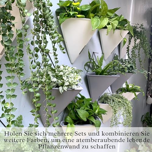 LaLaGreen Wall Planter for Indoor (12in, 4 Pack) Large Self Watering Plants - Image 6