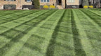 10-0-20 Emerald Lawn Fertilizer 25lbs - Slow-Release Nitrogen, Iron, & Micronutrients - Dark Green Lawn for Tall Fescue, St. Augustine, Zoysia, Centipede - Image 3