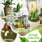 Riare 1.3LB Natural Moss Artificial Fake Moss Alternative for Plants Indoor - Image 6