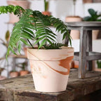 Random Mood Macchiato Terracotta Plant Pots – Handmade 6-Inch Clay Ceramic Flower Pots with Drainage Holes, Set of 3 – Ideal for Indoor & Outdoor Orchids - Image 7