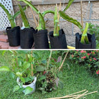 50Pcs / 3ft Bamboo Plant Stakes for Indoor Outdoor Plants, Garden Plant Support Sticks, Poles for Tomato Vegetables Beans Trees Potted Climbing Plants(0.32''-0.4'') - Image 6