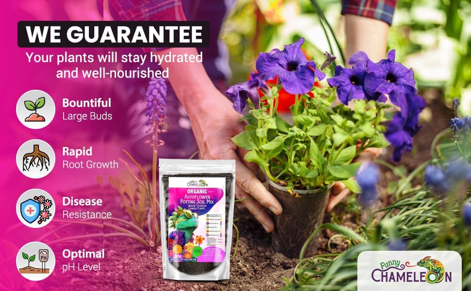 Organic Autoflower Potting Soil Mix – Ready-to-Use Living Soil, No Fertilizers Needed – Balanced Nutrients, Light Texture, Excellent Drainage, Boosts Germination & Root Growth (5 quarts) - Image 3